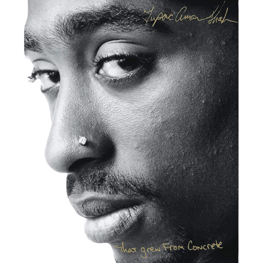 The Rose That Grew From Concrete