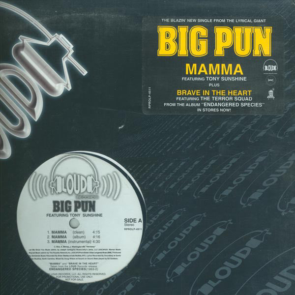 Mamma / Brave In The Heart 12" - Jade Record Shoppe